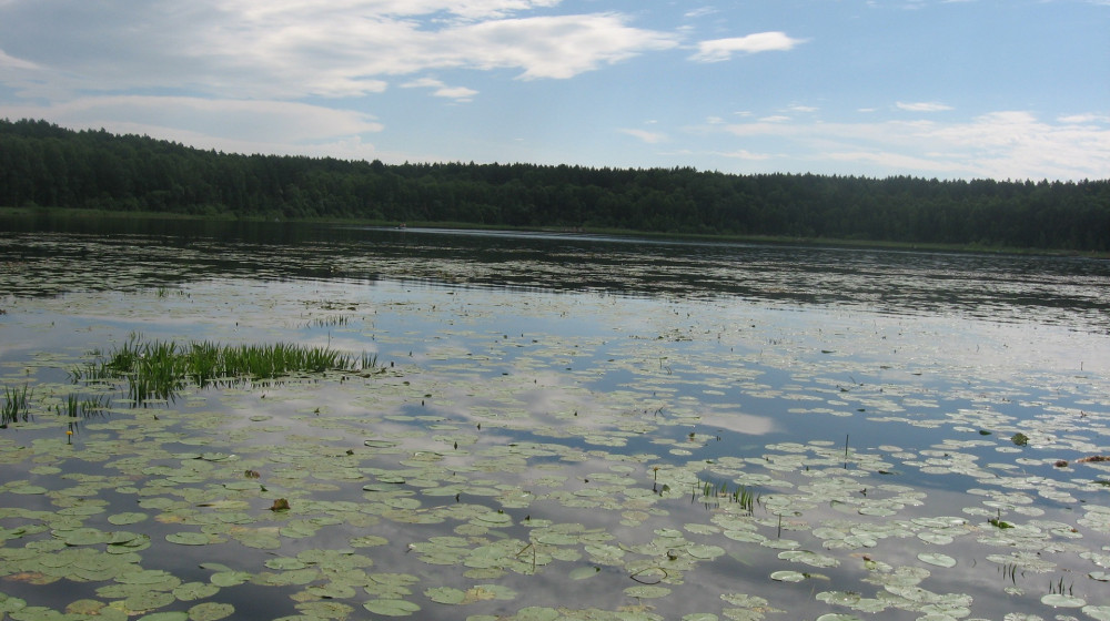 Тайна пяти озер в Омской и Новосибирской областях
