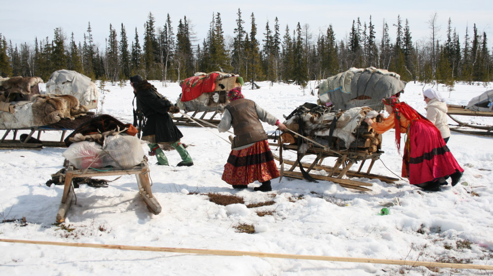 Как оленеводы выживают при -50 °С и ведут обычную жизнь