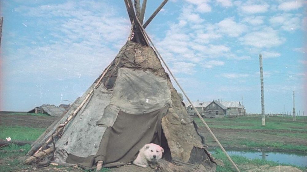 Странные вещи, которые ни в коем случае нельзя делать женщине в стойбище оленеводов и чуме