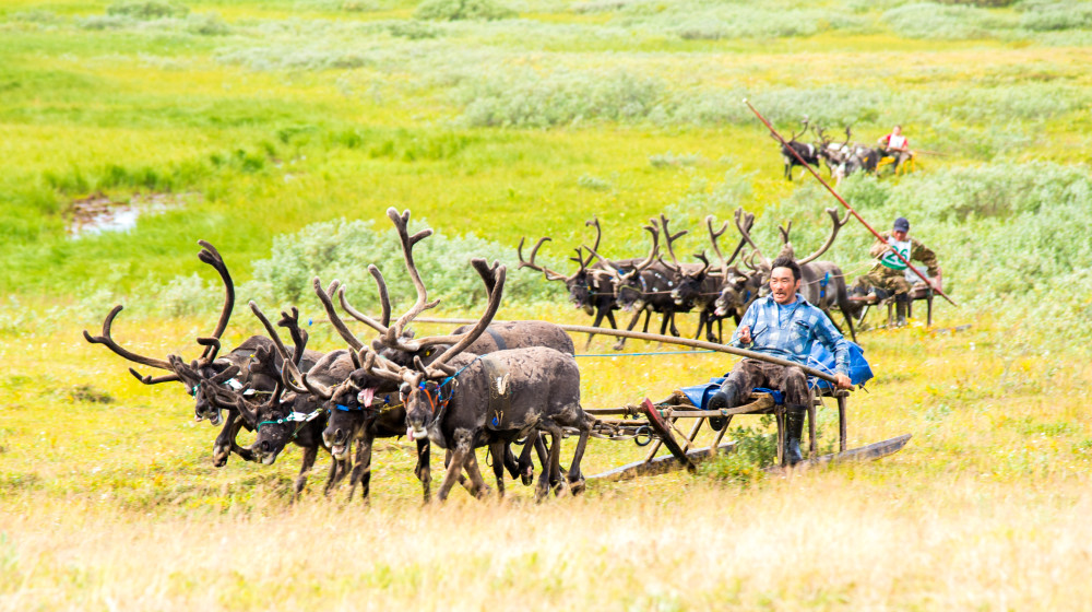 Как жить в тайге и при этом быть миллионером